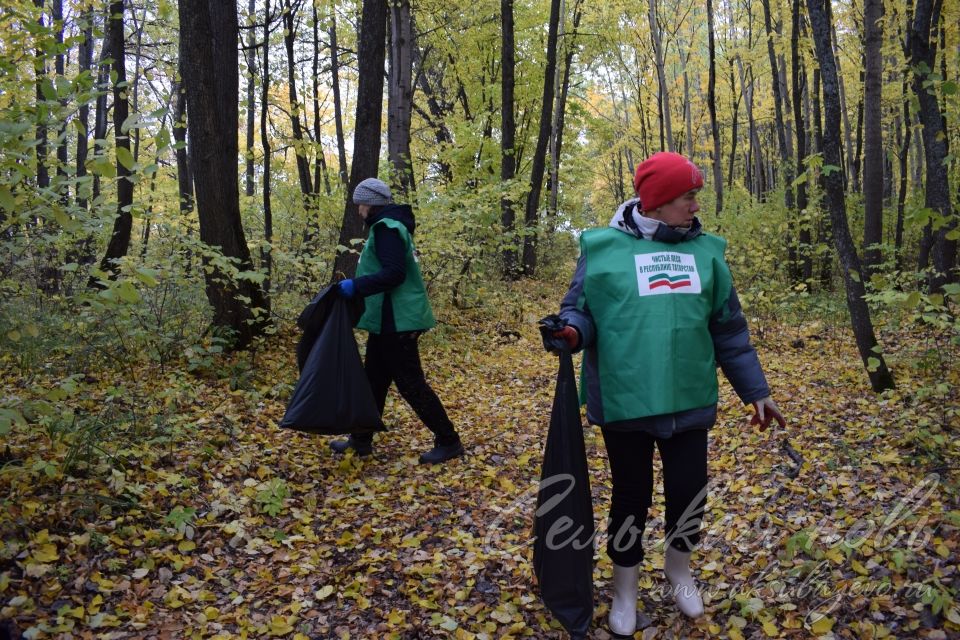 Природоохранная акция в Аксубаевском лесничестве: в лесах стало чище