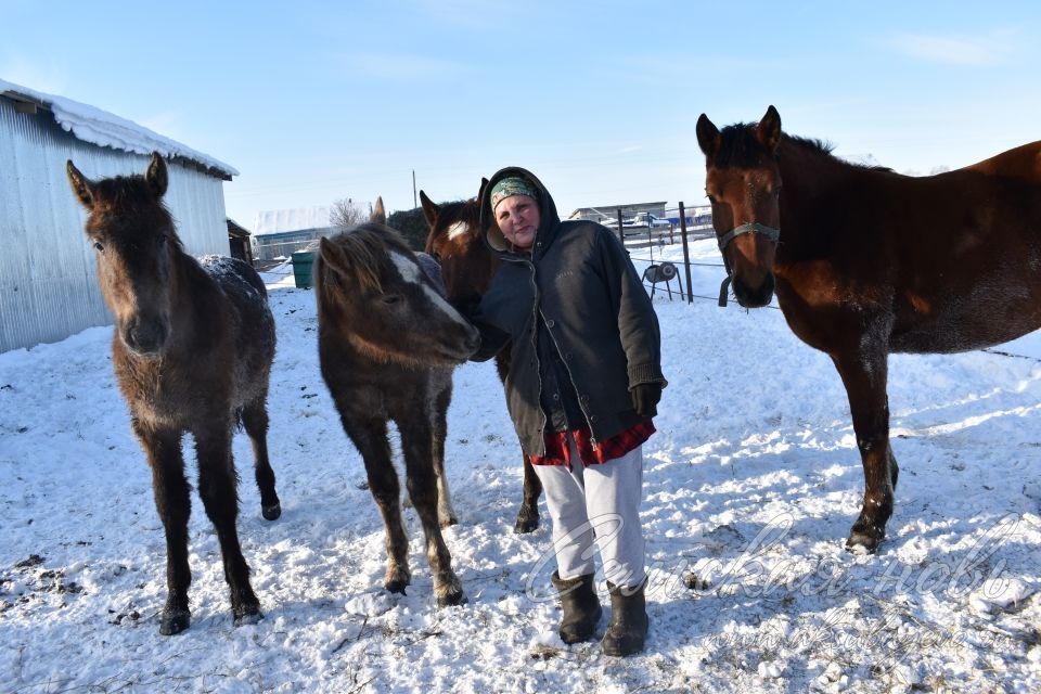 Аксубаевская семья живет с мечтой о новой ферме