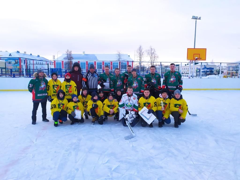 В Аксубаеве новогодний турнир по хоккею выявил сильнейшую команду