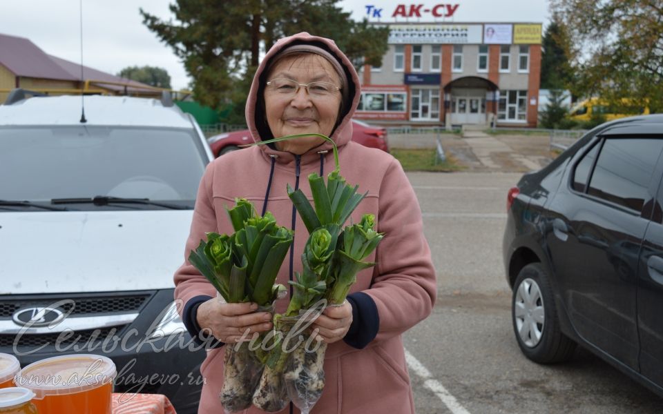 Аксубаевских пенсионеров собрала осенняя сельхозярмарка