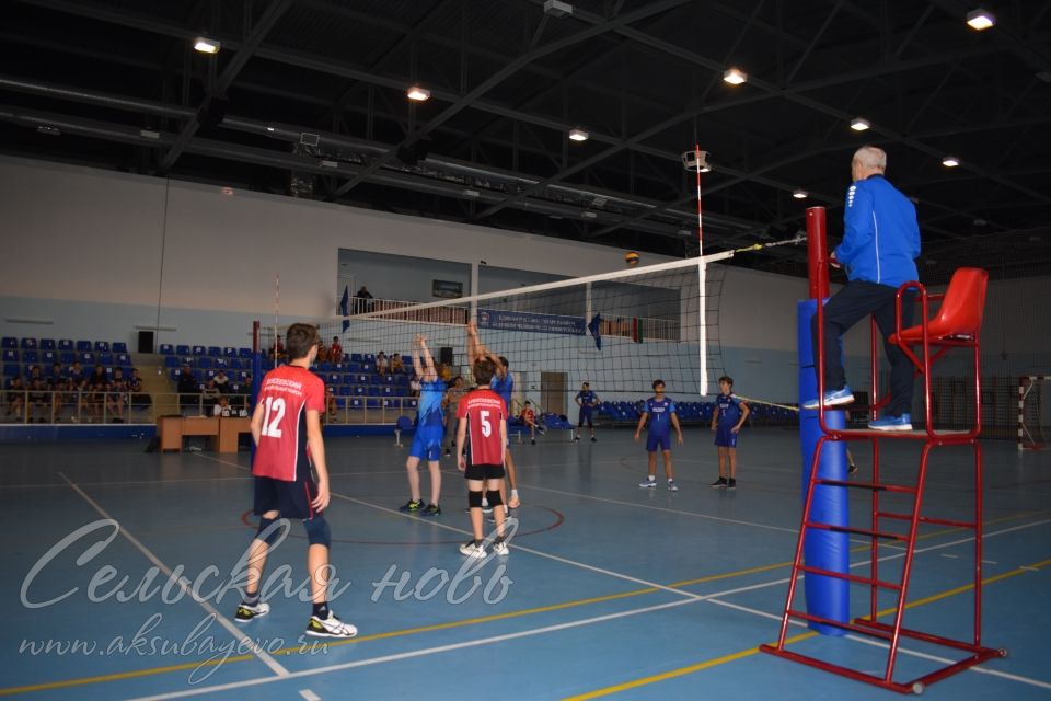 В Аксубаеве соревнуются лучшие волейболисты Татарстана