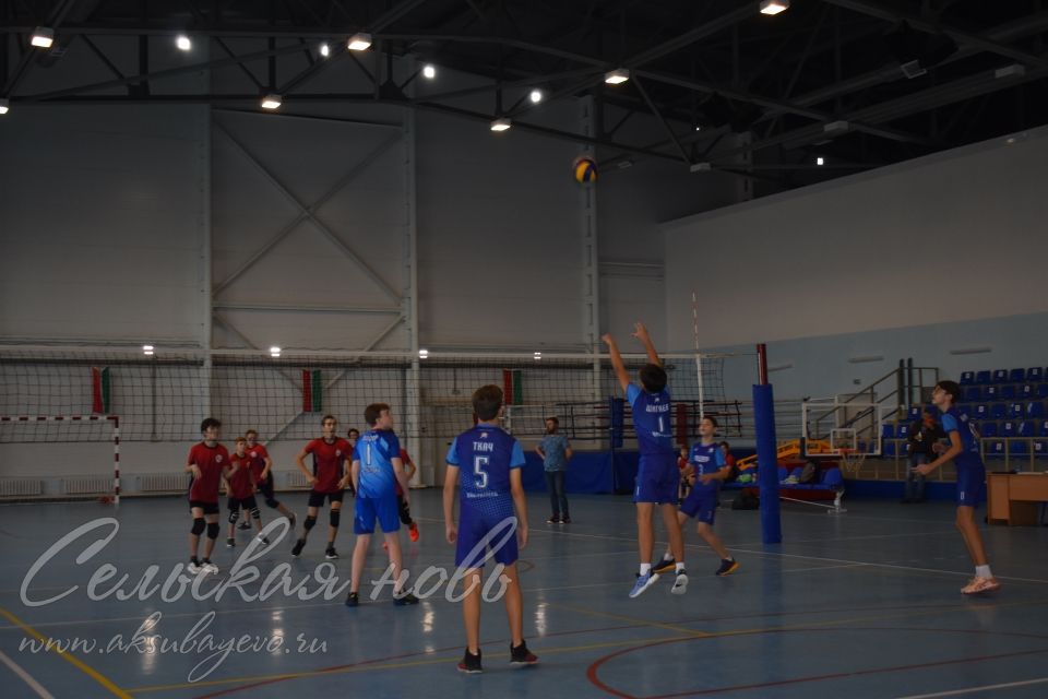 В Аксубаеве соревнуются лучшие волейболисты Татарстана