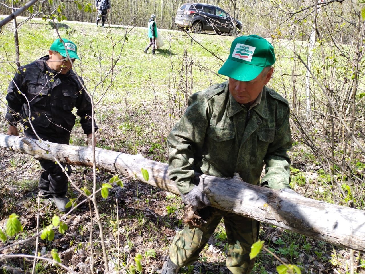 Аксубаевцы поддержали природоохранную акцию по очистке лесов
