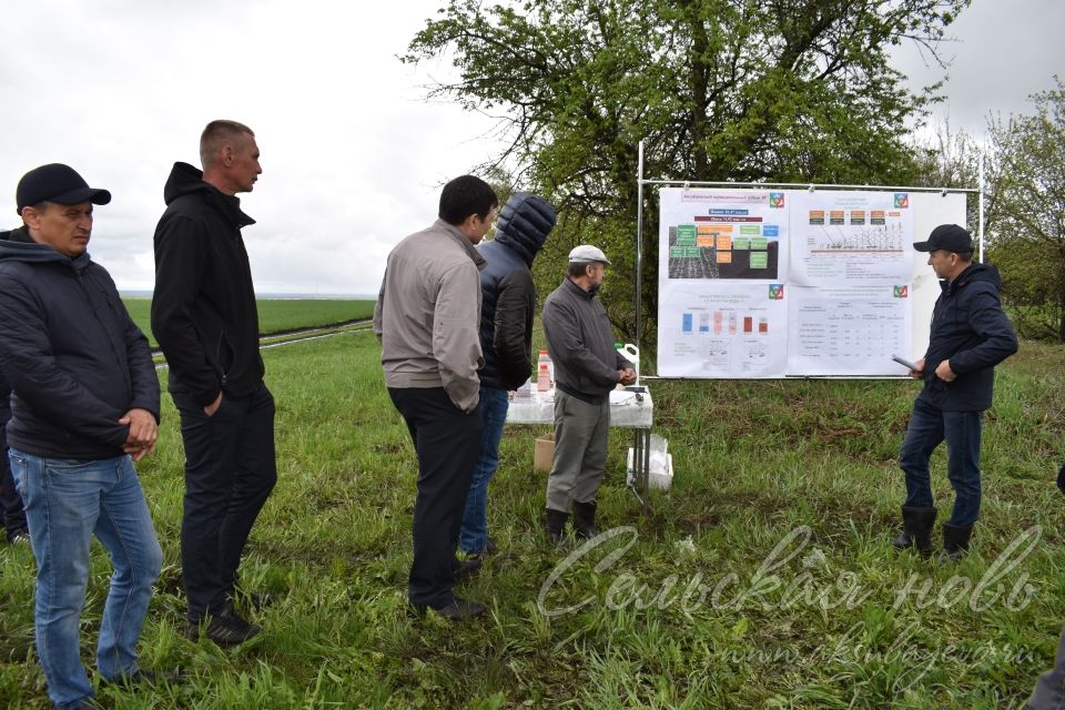 Аксубаевские растениеводы решали, как защитить сельхозкультуры