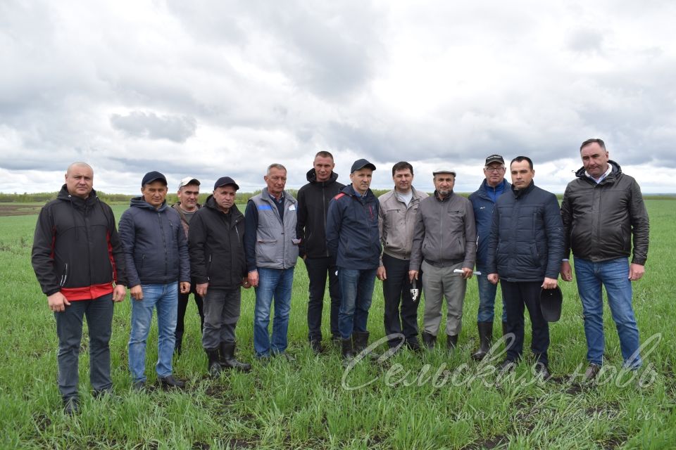 Аксубаевские растениеводы решали, как защитить сельхозкультуры