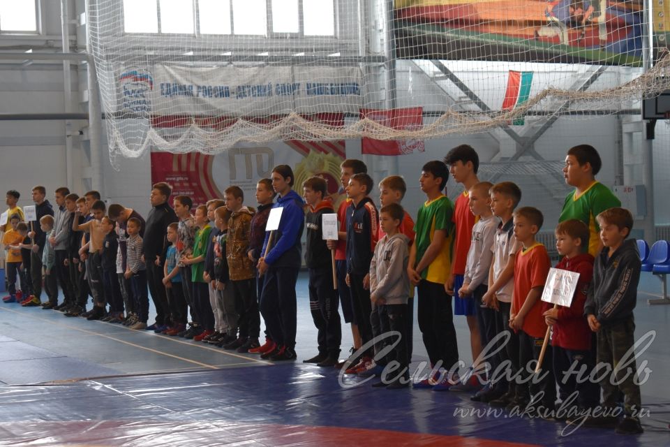 В Аксубаеве прошел турнир по национальной борьбе в честь 1100-летия Ислама