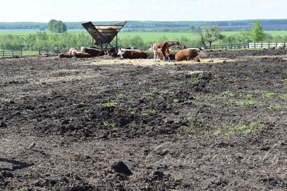 Аксубаевские растениеводы готовы к сезону заготовки кормов