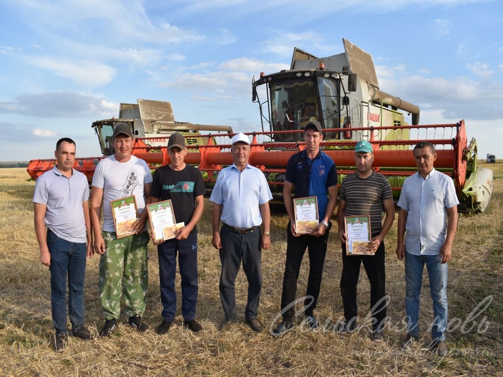 В Аксубаевском районе наградили батыров жатвы