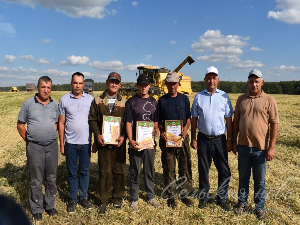 В Аксубаевском районе наградили батыров жатвы