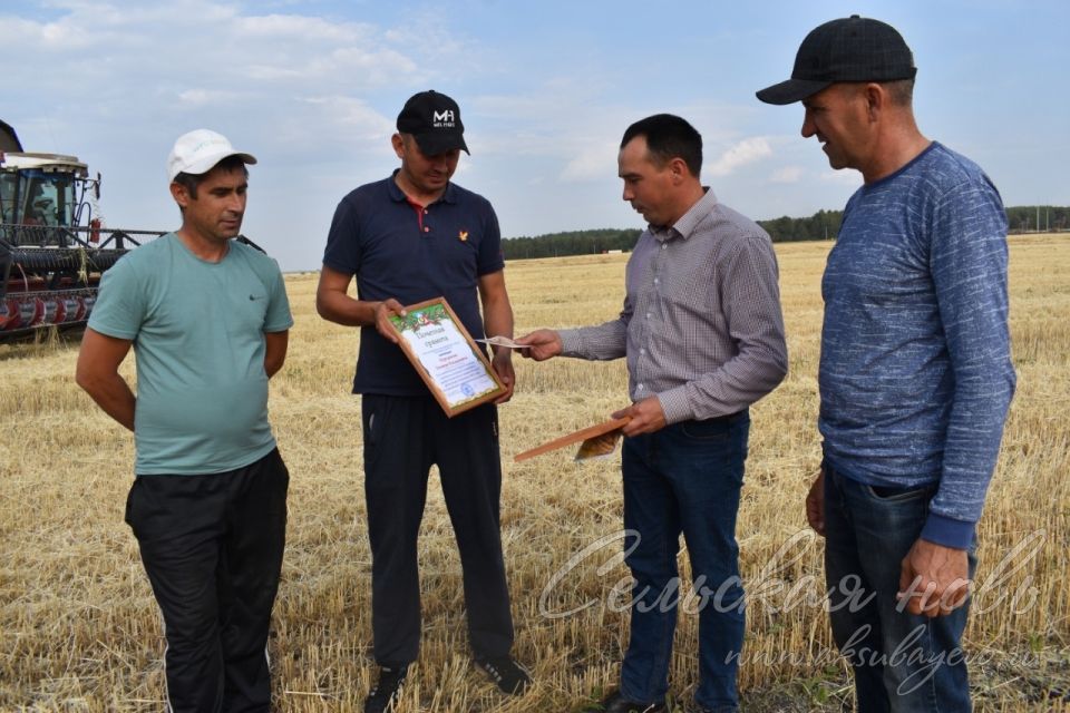 Аксубаевских земледельцев чествовали на хлебном поле