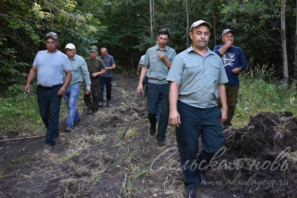 Аксубаевские лесоводы поделились опытом работы