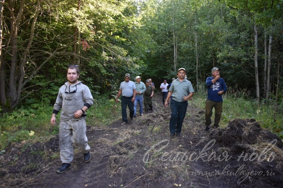 Аксубаевские лесоводы поделились опытом работы