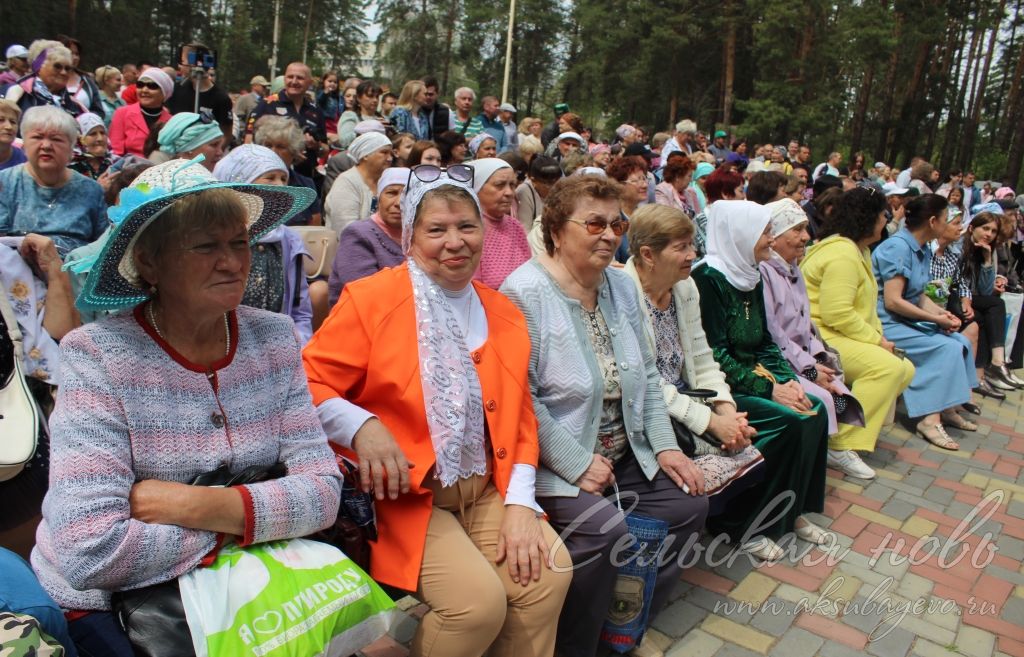 Аксубаевский район участвовал в Сабантуе в Димитровграде