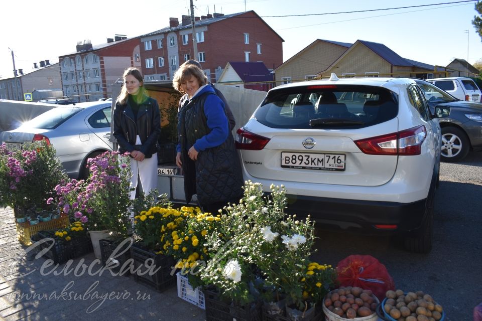 Аксубай авыл хуҗалыгы ярминкәсе бөтен районны җыйды