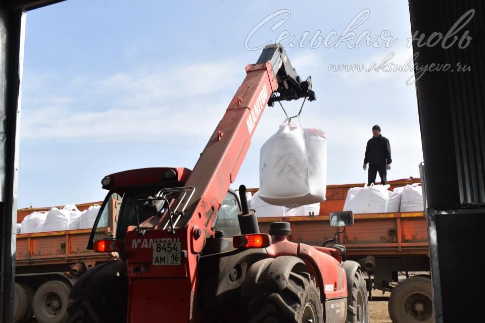 В Аксубаевском районе об урожайности зерновых заботятся до посева