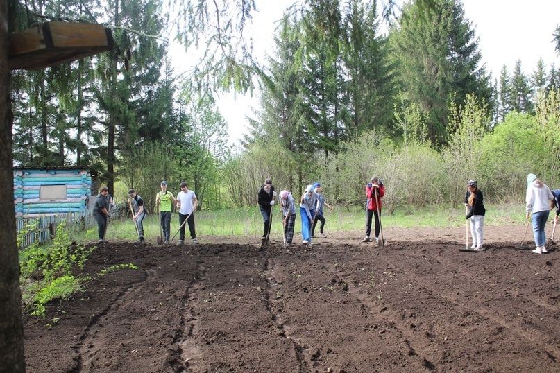 В канун Дня Победы в школах района высадили деревья и кустарники