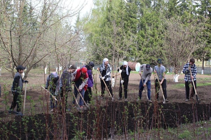 В канун Дня Победы в школах района высадили деревья и кустарники