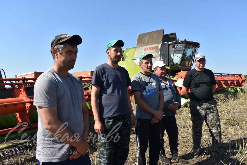 Аксубаевских земледельцев наградили за высокие результаты на жатве