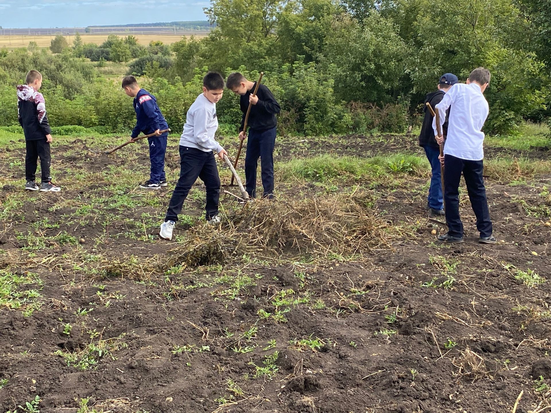 В Аксубаевской школе прошла экологическая неделя