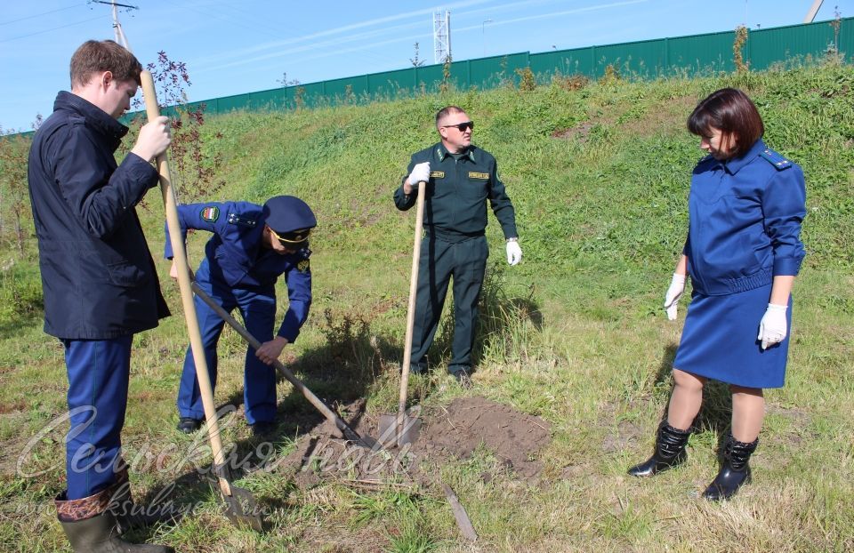 Аксубай прокуратурасы хезмәткәрләре “Хәтер бакчасы” акциясенә кушылды