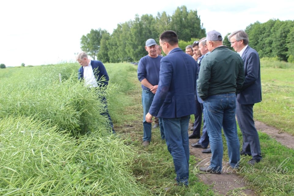 Аксубай районында Марат Җәббаров эш сәфәре белән булып китте