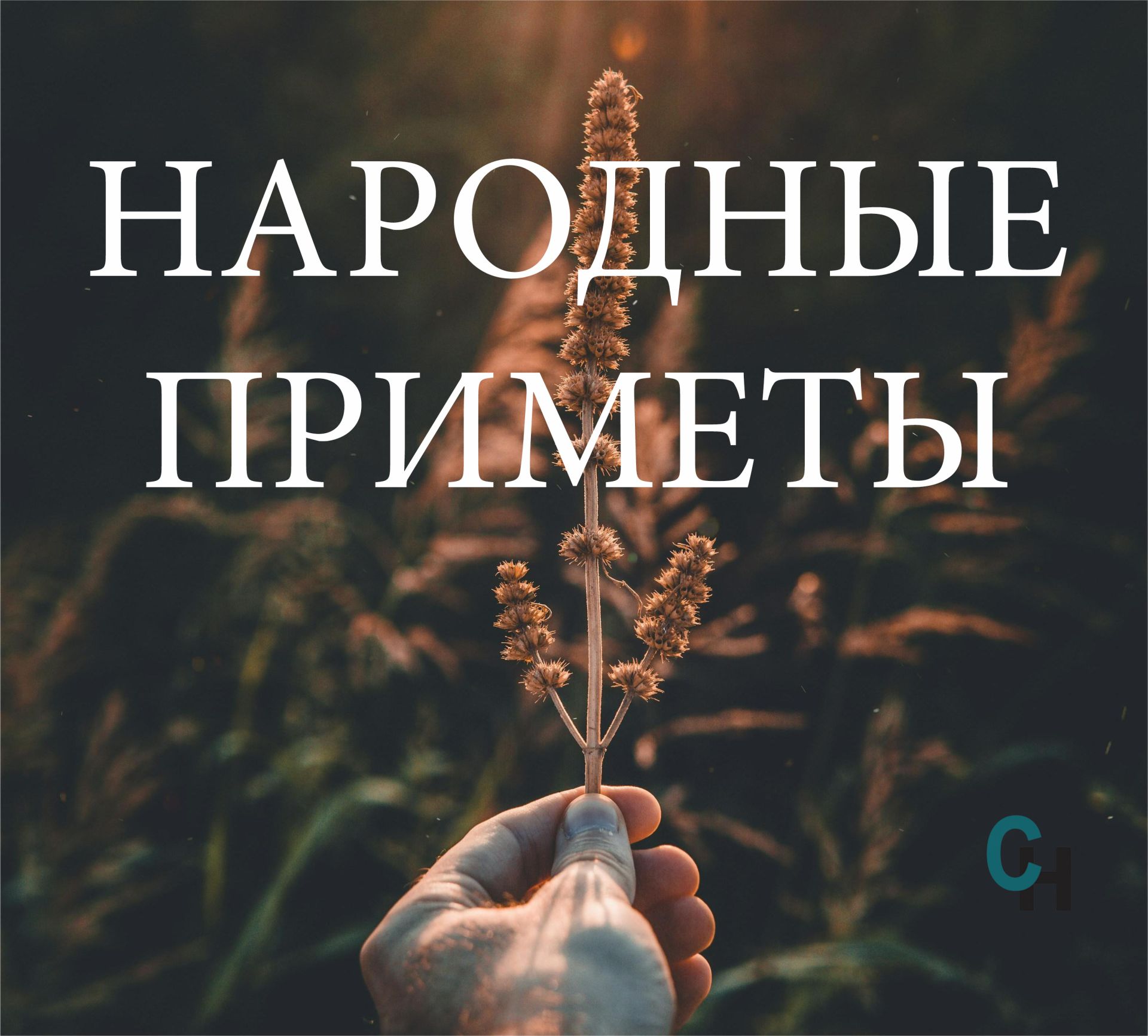 Народные приметы на 25 августа 2025 года: что нельзя делать в этот день