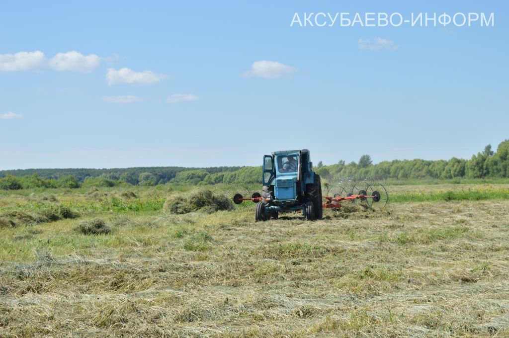 Аксубаевское животноводство делает ставку на крепкую кормовую базу
