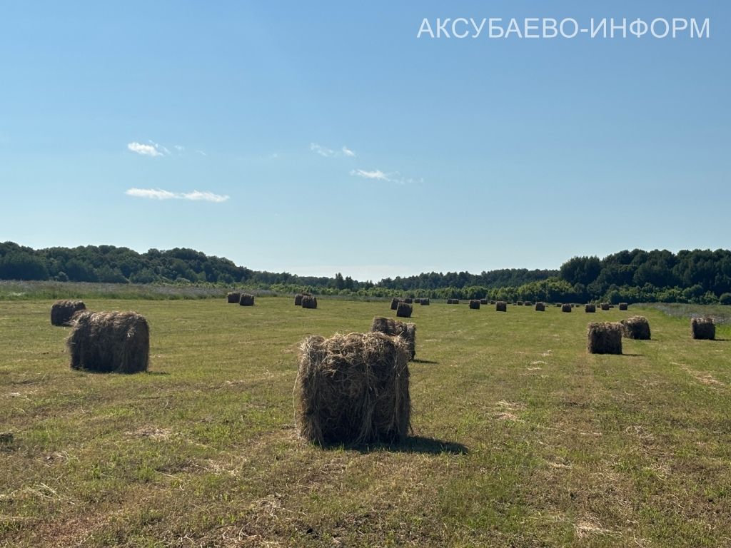Аксубаевское животноводство делает ставку на крепкую кормовую базу