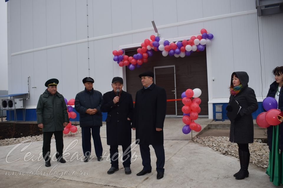 В Аксубаевском районе открыли цех по производству субстракта для выращивания грибов