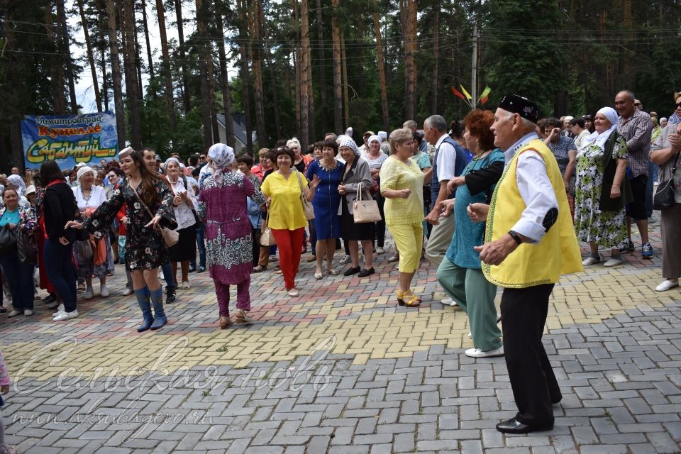 Сабантуй в Димитровграде: аксубаевцы отдали дань уважения традициям татарского народа в российском городе
