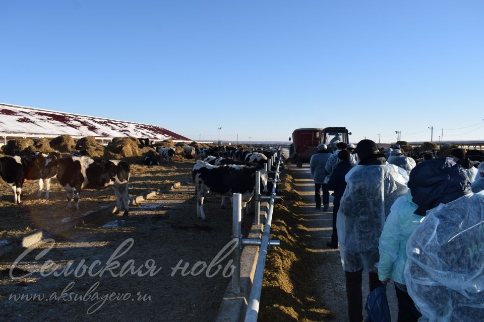 В Аксубаевсом районе обсуждали цифровизацию в животноводстве