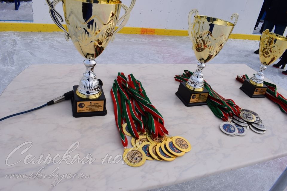 Аксубаевские хоккеисты выиграли «золотой» кубок