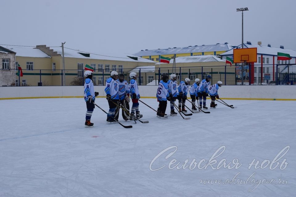 Аксубаевский «Барс» стал первым в республике по хоккею