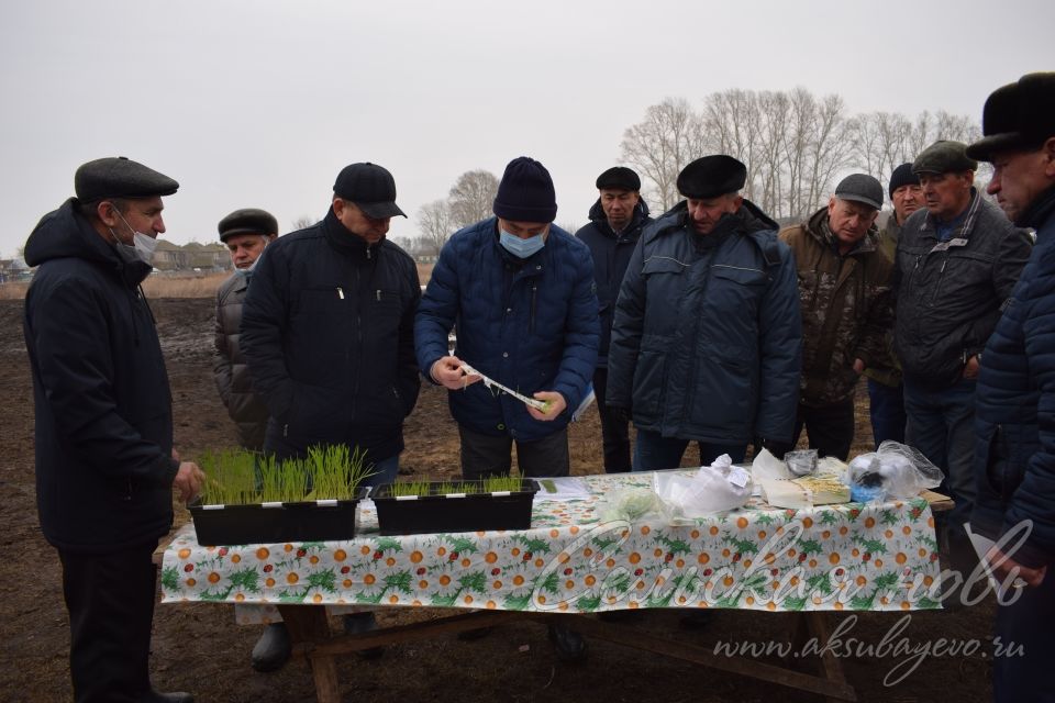 Аксубаевская агротехника получила высокую оценку