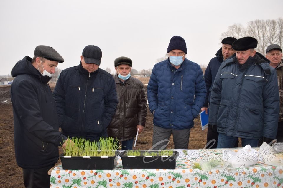 Аксубаевская агротехника получила высокую оценку