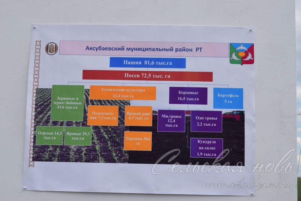 На аксубаевском поле инвесторы со всей республики решали судьбу урожая