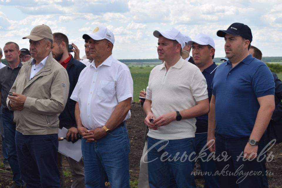 На аксубаевском поле инвесторы со всей республики решали судьбу урожая