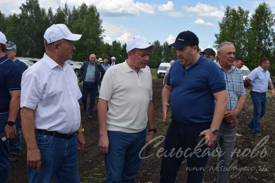 На аксубаевском поле инвесторы со всей республики решали судьбу урожая