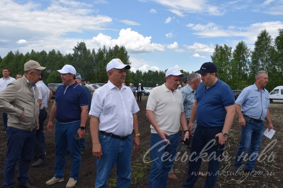 На аксубаевском поле инвесторы со всей республики решали судьбу урожая