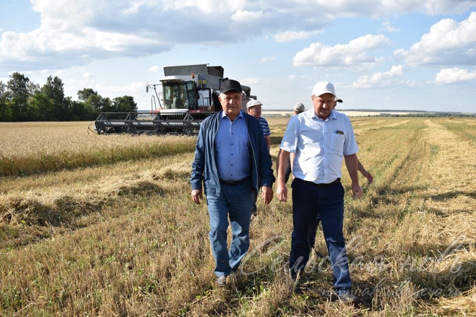 В Аксубаевском районе чествуют лидеров уборочной страды