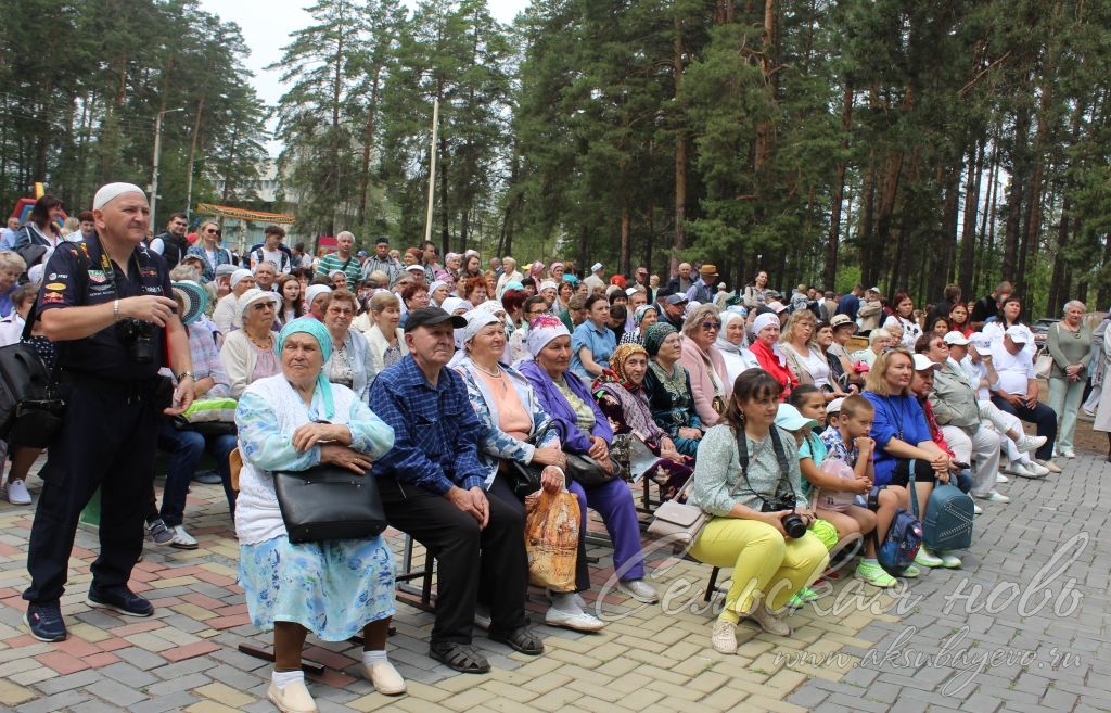 Аксубаевцы участвовали на Сабантуе в Димитровграде