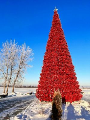 «А зеленые елки остались?»: в Нижнекамске после желтой елки нарядили красную