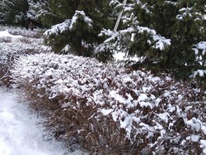 В Татарстане ожидается до 24 градусов мороза и небольшой снег