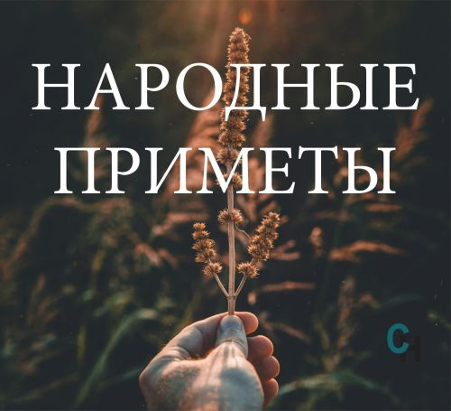 9 сентября вспоминаем народные приметы о рябине и предсказываем погоду