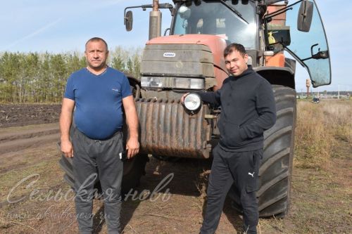 «Черное золото» полей: остались последние гектары