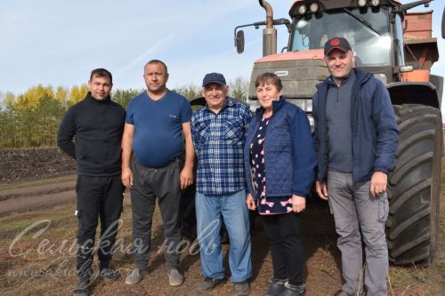 «Черное золото» полей: остались последние гектары
