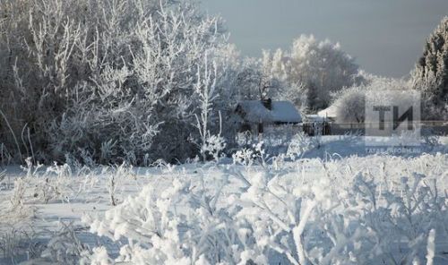 Прогноз погоды на 17 февраля