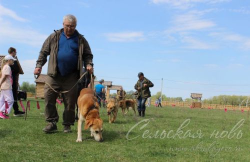 Аксубайда ХХ ау этләре күргәзмәсе узды