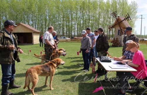 Аксубайда ХХ ау этләре күргәзмәсе узды