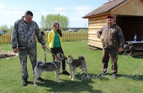 Аксубайда ХХ ау этләре күргәзмәсе узды